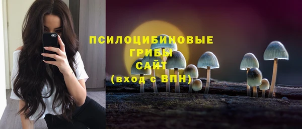 гидра Алзамай