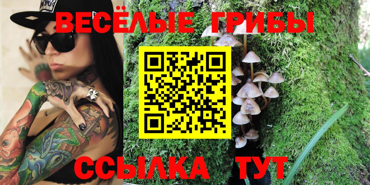 Псилоцибиновые грибы GOLDEN TEACHER Алушта