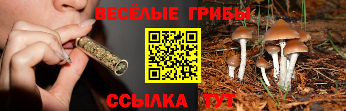Псилоцибиновые грибы мухоморы  Галлюциногенные грибы Psilocybe  Алушта  Вход с VPN 